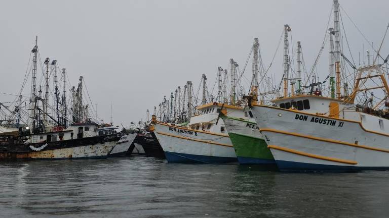 La flota pesquera de Topolobampo enfrenta una temporada de capturas de camarón con poca producción.