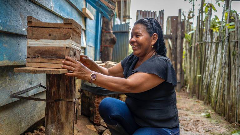 Mélida Álvarez, lideresa indígena bora, comenzó a interesarse por las abejas al ver la dificultad que enfrentaban muchas familias para conseguir miel como alimento y medicina.