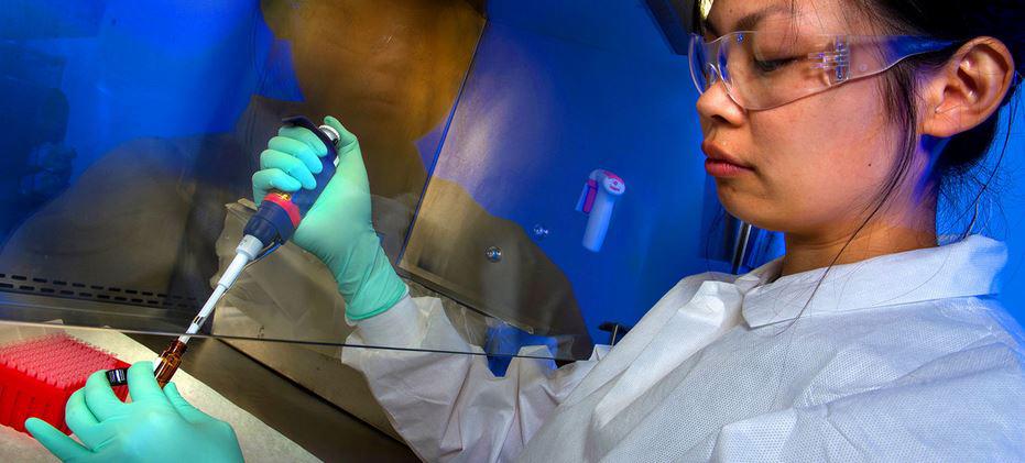 $!Una científica analizando una muestra sospechosa de contener una toxina bacteriana.