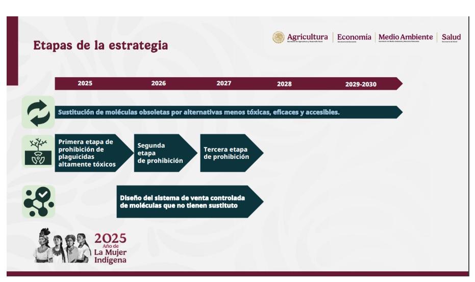 $!México prohíbe 35 plaguicidas por riesgos a la salud y el ambiente