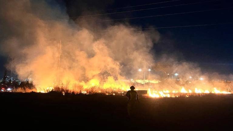 En los primeros tres meses del año 2025 van más de 200 incendios en baldíos.
