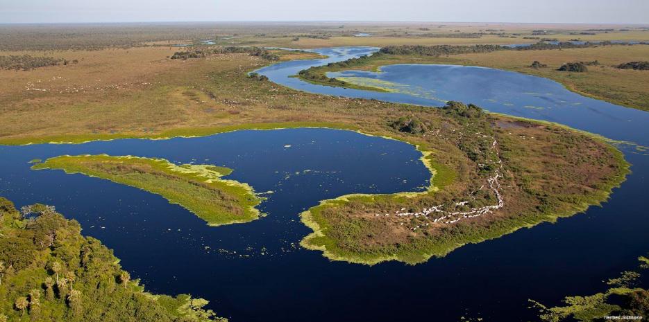 $!El Pantanal es un extenso humedal que comparten Bolivia, Brasil y Paraguay.