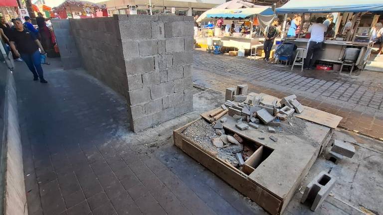 El proyecto de electrificación del mercado José María Pino Suárez contempla la instalación de cerca de 300 medidores en nichos en las calles Leandro Valle y Melchor Ocampo.