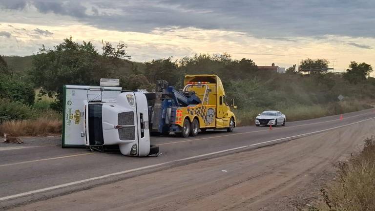 La pesada unidad quedó volcada tras maniobra del conductor al intentar esquivar a un animal que cruzaba la vía.