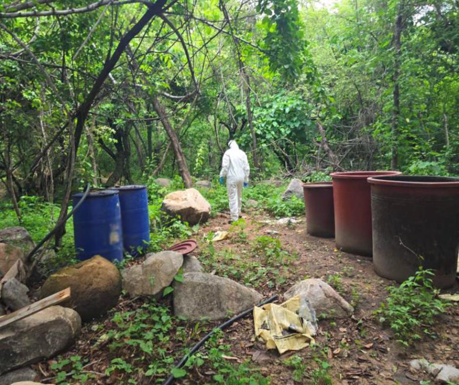 $!Aseguran armas, cartuchos y laboratorios clandestinos en Concordia y Badiraguato