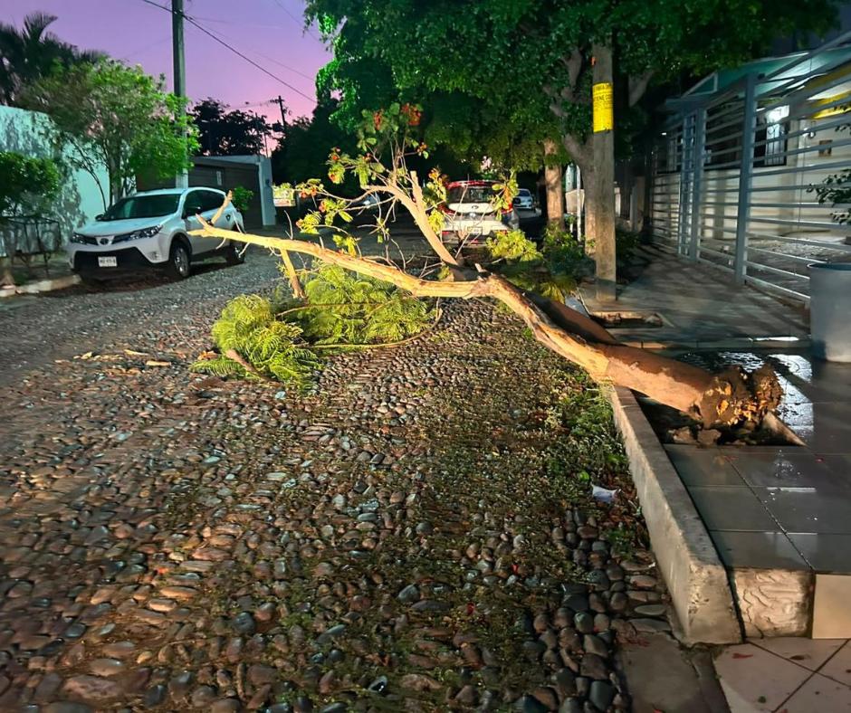 $!Reporta Protección Civil 10 incidentes y un cortocircuito tras lluvia y viento este miércoles en Culiacán