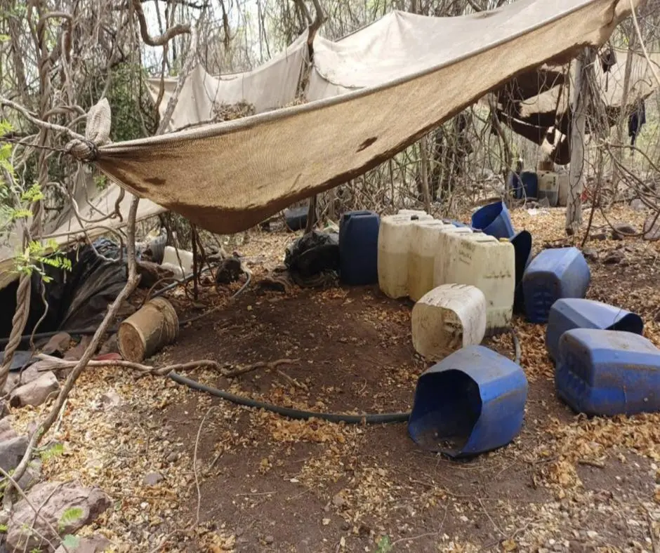 $!Ejercito inhabilitan 10 centros de insumos químicos en Cosalá y Culiacán