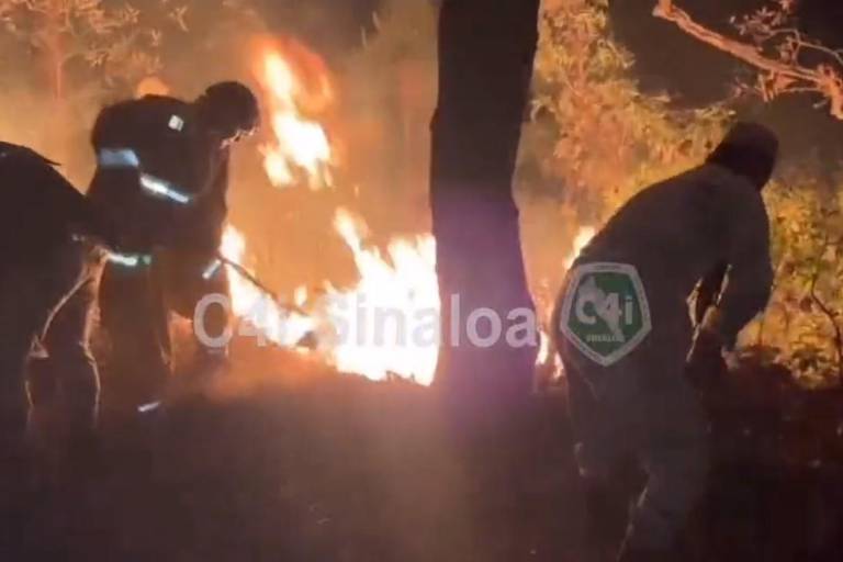 Bajó el riesgo de que Loberas pudiera ser afectado por el incendio en Concordia: PC