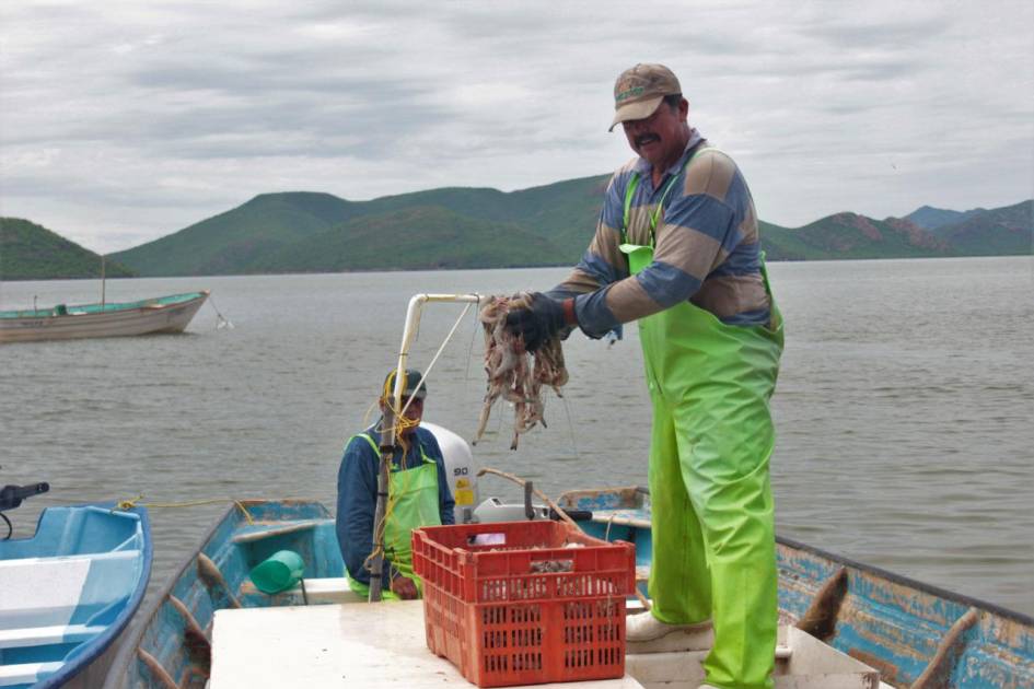 Secuestran redes de pesca que cortaban el río Gualeguaychú
