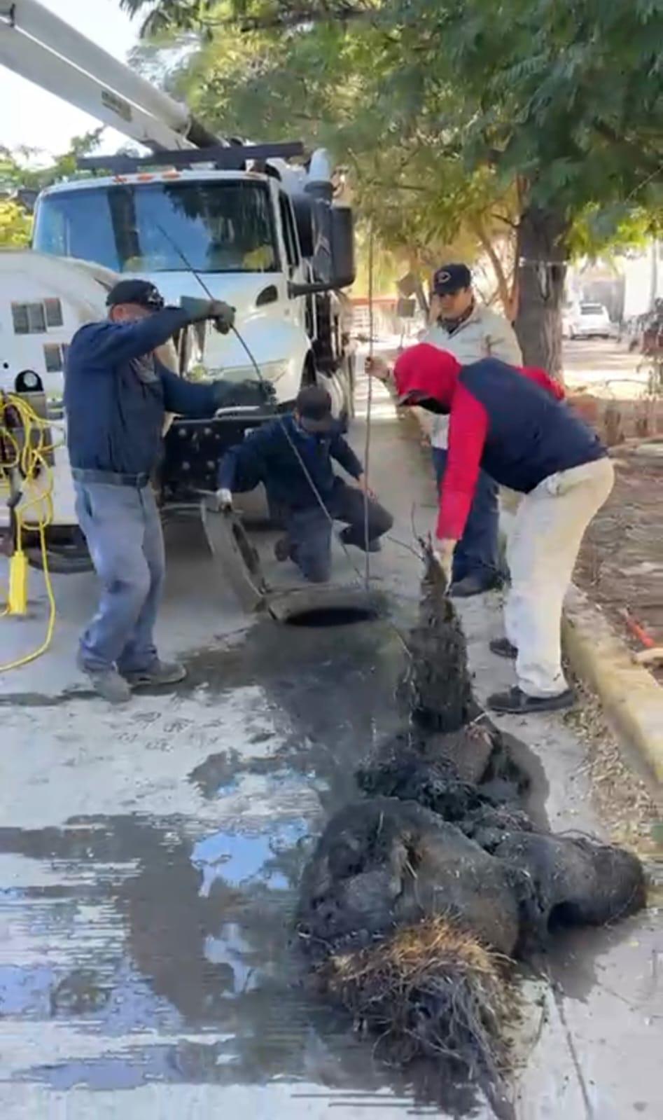 $!Raíces de árboles y llantas taponean drenaje en la Colonia 12 de Octubre, en Los Mochis