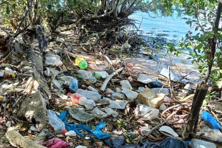 Así se aniquila al Estero de Urías, uno de los más contaminados de México y el mundo