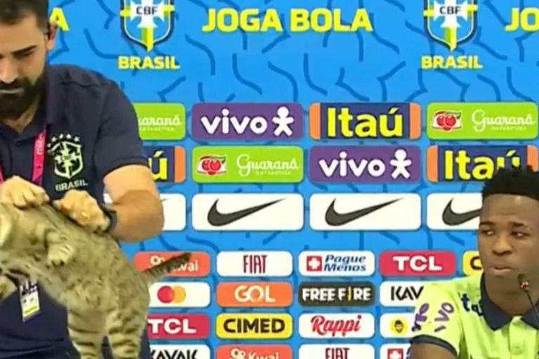 Maltratan a gato en plena conferencia de Brasil (VIDEO)