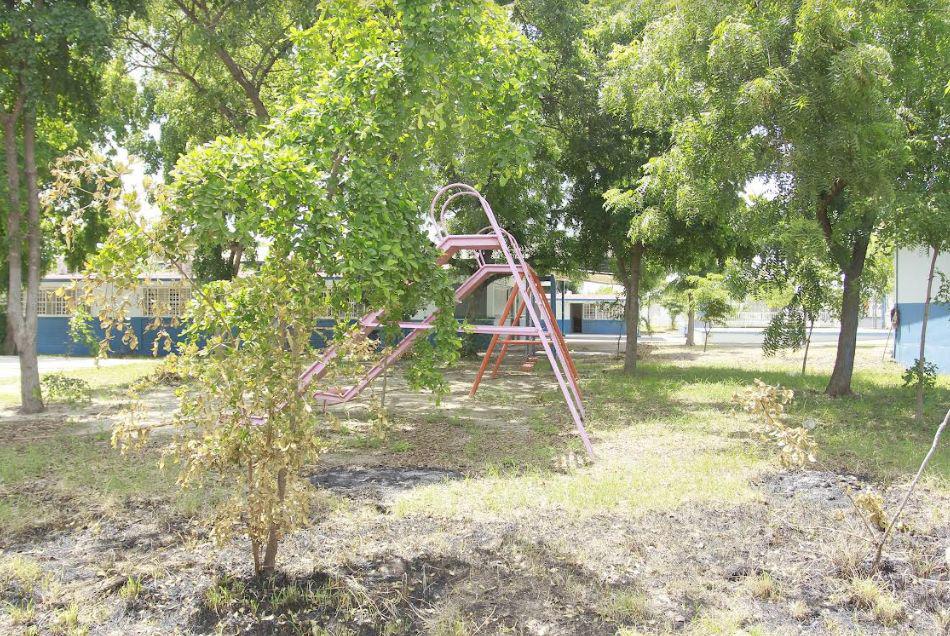 $!Hay exceso de vegetación en la escuela “Escudo Nacional”.