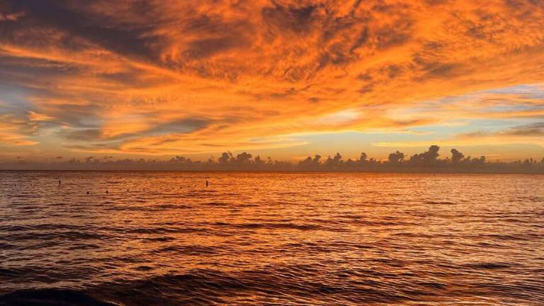 La temperatura global de la superficie del mar alcanzó un máximo histórico registrado en agosto de 2026.