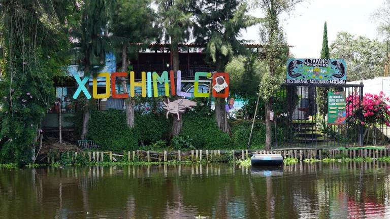 Xochimilco es una de las últimas zonas que quedan de un antiguo sistema de lagos y canales que alguna vez caracterizó al Valle de México.