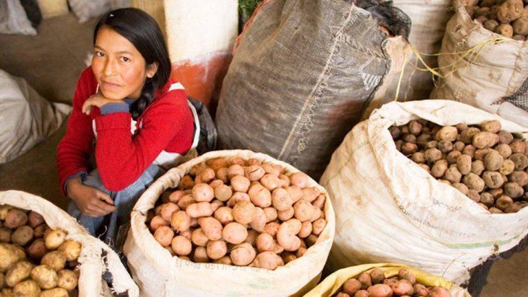 Una mujer vende papas en el mercado de alimentos de Andahuaylas, en Perú.