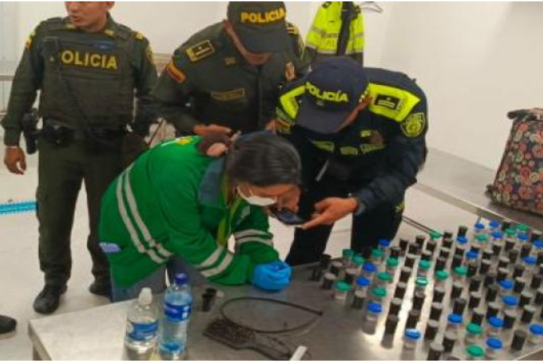 Capturan en aeropuerto de Colombia a mujer con 130 ranas venenosas