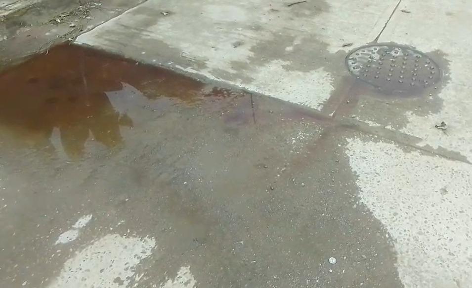 $!Denuncian vecinos desbordamiento de agua con presunta sangre en la zona del rastro municipal de Rosario