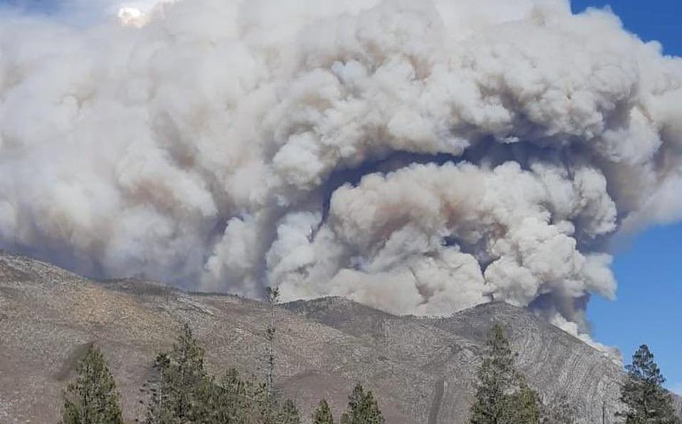 $!Nuevo León en alerta por incendios forestales