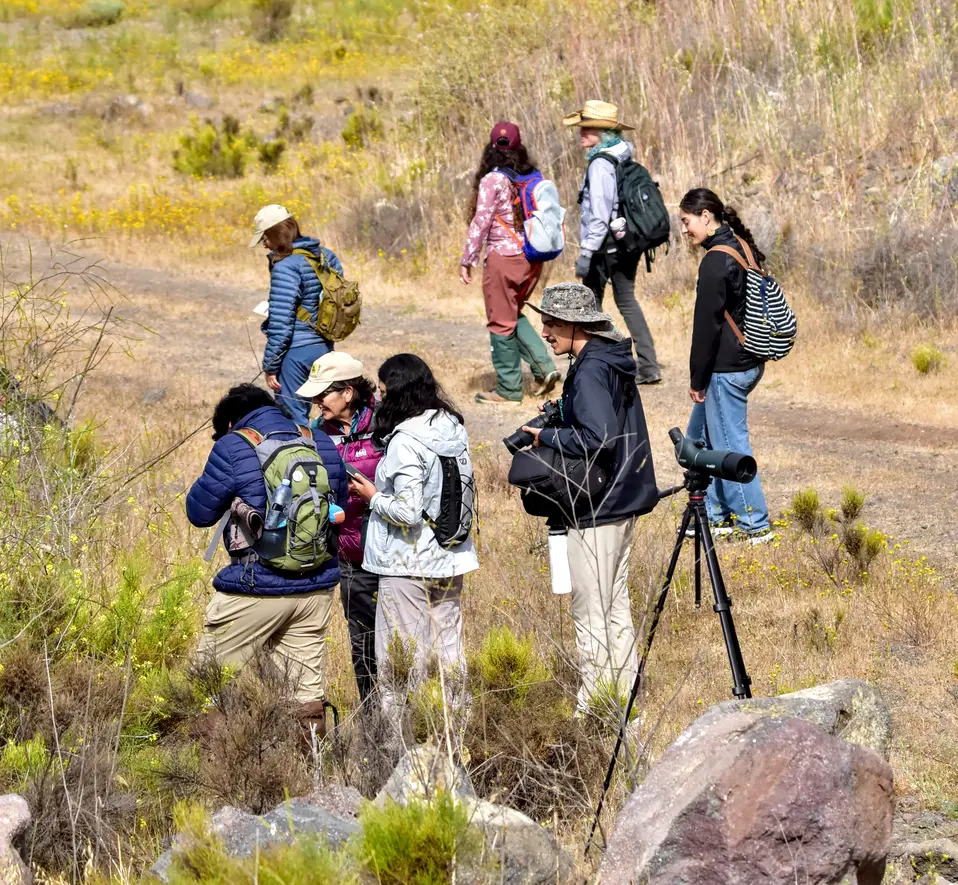 $!Observadores ciudadanos durante el BioBlitz de la Frontera en Rancho Bonito, Ensenada.