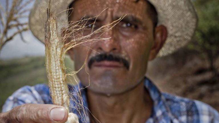 Los agricultores del Corredor Seco de Centroamérica sufren los efectos devastadores de El Niño.