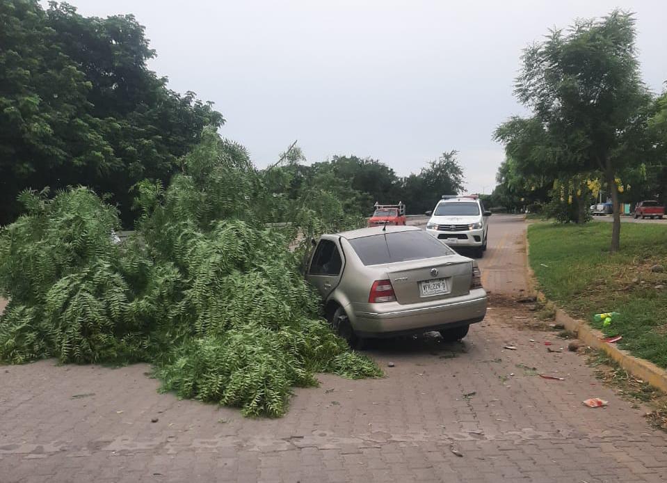 $!Conductor choca contra poste y árbol del camellón en el malecón de Rosario