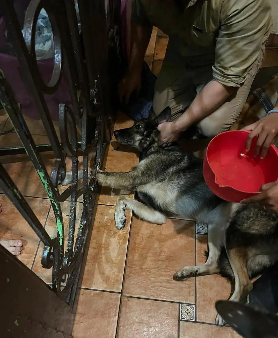 $!Atiende Bomberos de Mazatlán incendios en casa habitación y baldíos durante Navidad