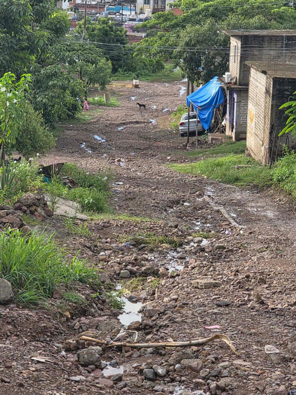 $!Vecinos de la calle Pino Suárez en Escuinapa exigen la reparación de la vialidad