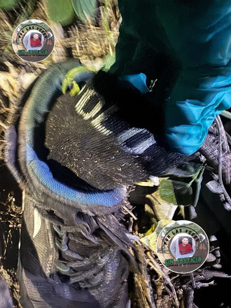 $!Hallan restos humanos durante jornada de búsqueda en Mazatlán