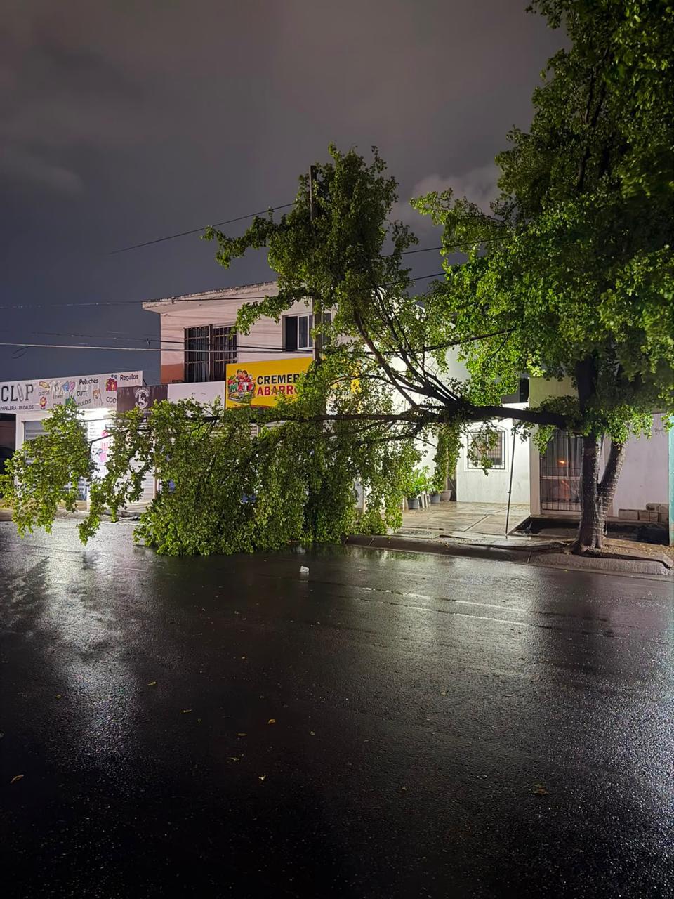 $!Caída de espectaculares, árboles y desbordamiento de arroyos dejan lluvias en Culiacán