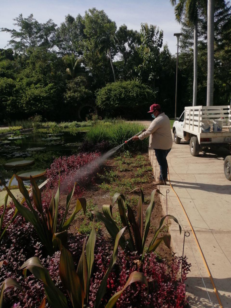 $!Promueven la sanidad vegetal del Jardín Botánico Culiacán y el Parque Ecológico
