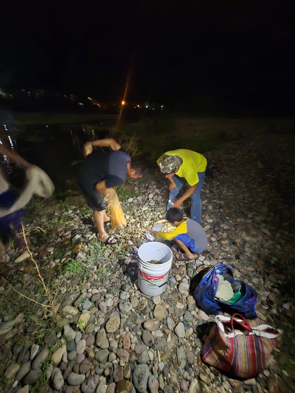 $!Familias de Rosario aprovechan proliferación de ‘pupos’ en el río Baluarte