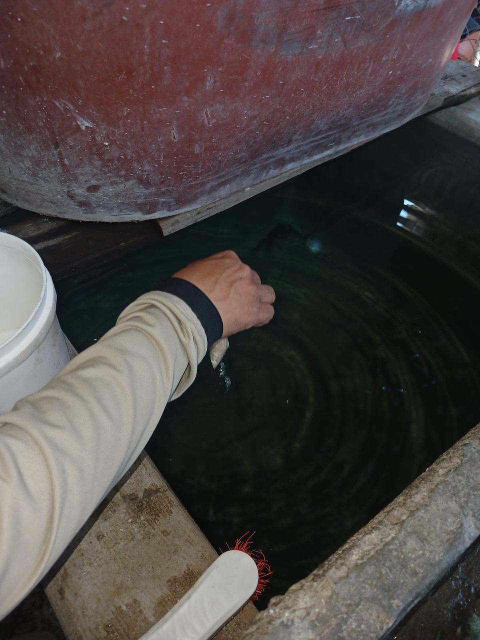 $!Por embarcaciones, Teacapán concentra ‘criaderos’ de mosco del dengue, advierte Salud