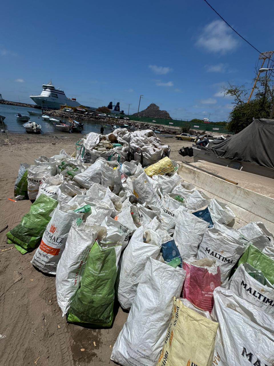 $!Mitigan contaminación del manglar de ‘Isla Basura’ en Mazatlán