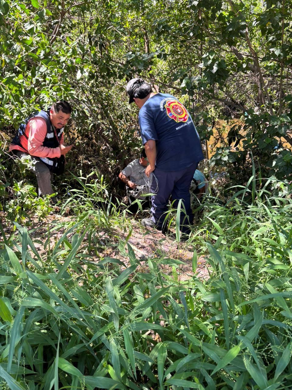 $!Rescata Bomberos Veteranos de Mazatlán dos perros huskys del arroyo Jabalines