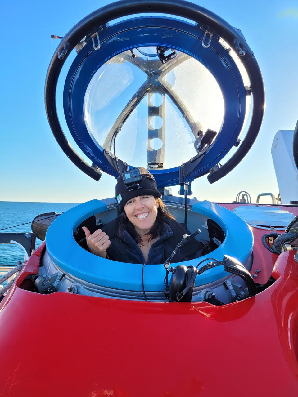 $!Siguiendo ballenas francas: cómo funciona el proyecto que rastrea sus rutas migratorias desde el espacio exterior