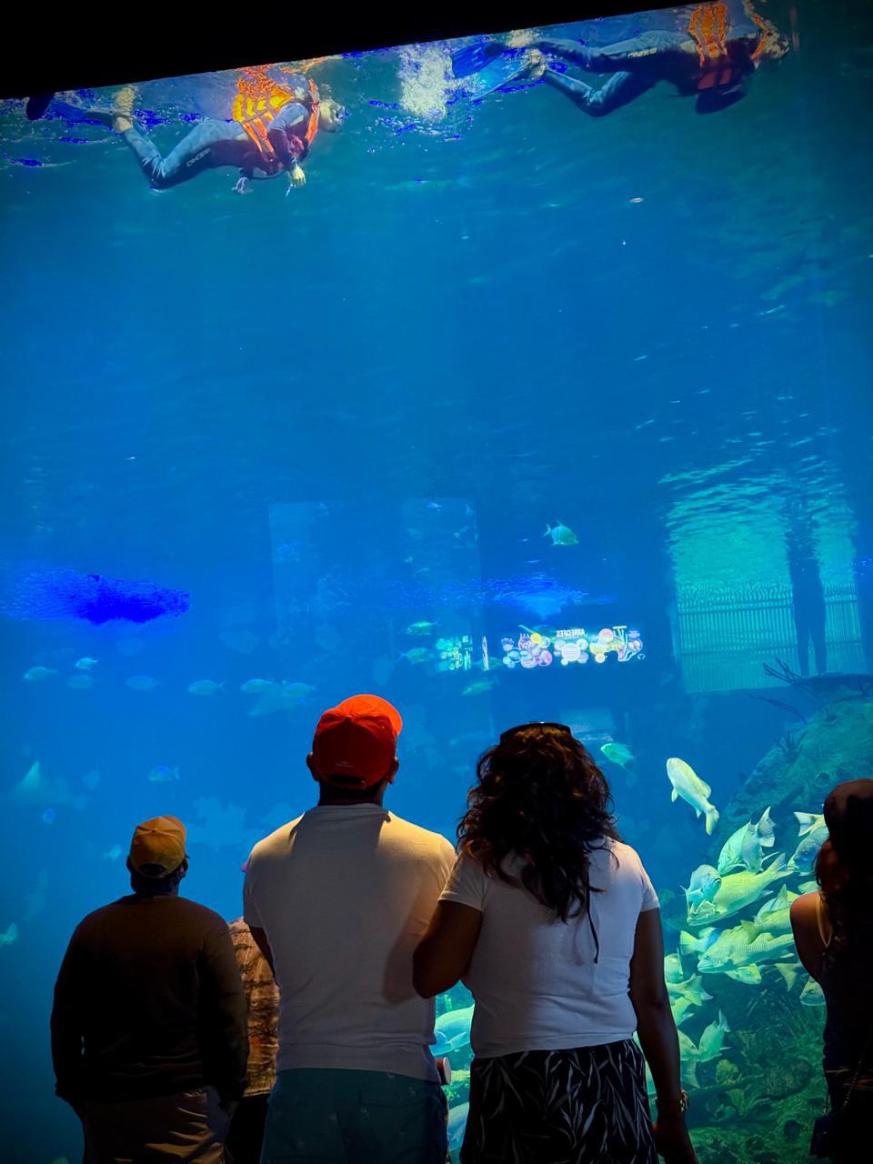 $!Destaca el Gran Acuario Mazatlán entre los atractivos principales del puerto