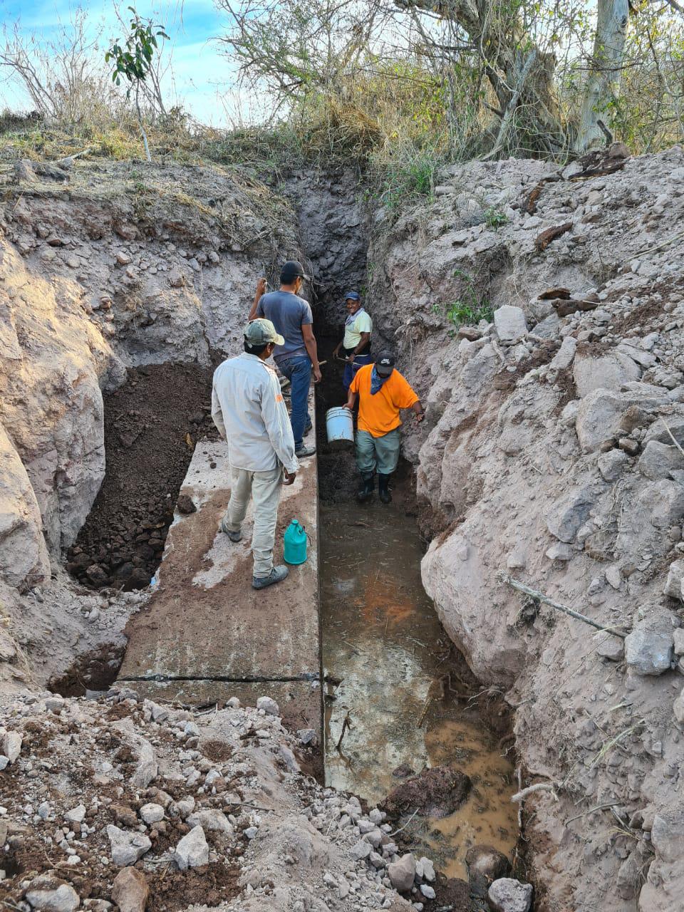 $!Por fugas en sifón no se ha podido iniciar riego de huerto de mango en Escuinapa
