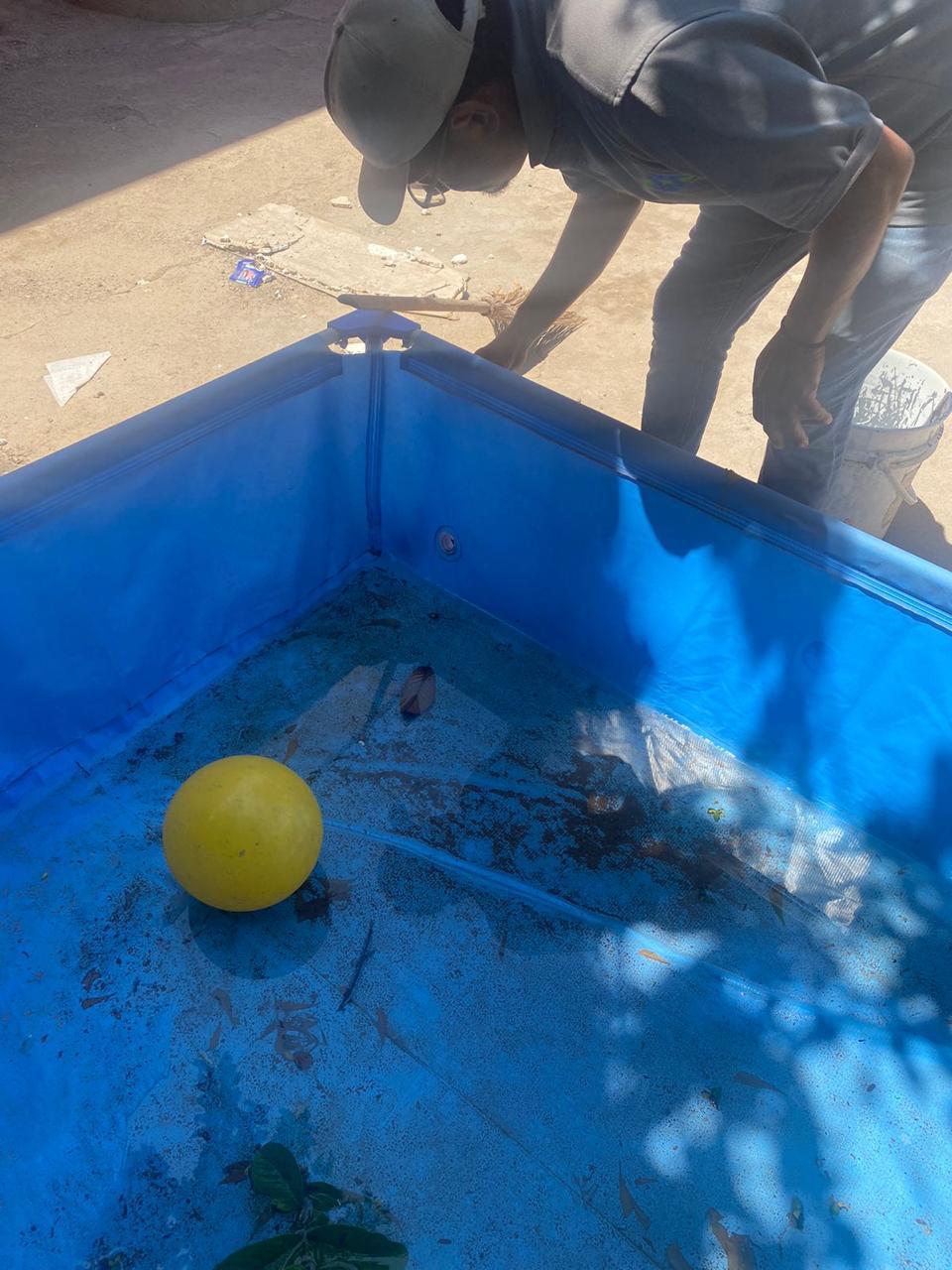 $!Por embarcaciones, Teacapán concentra ‘criaderos’ de mosco del dengue, advierte Salud