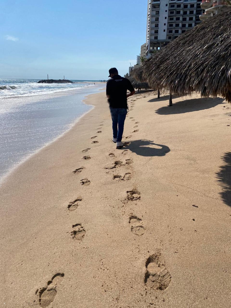 $!Gran Acuario Mar de Cortés de Mazatlán rescata a pelícano herido