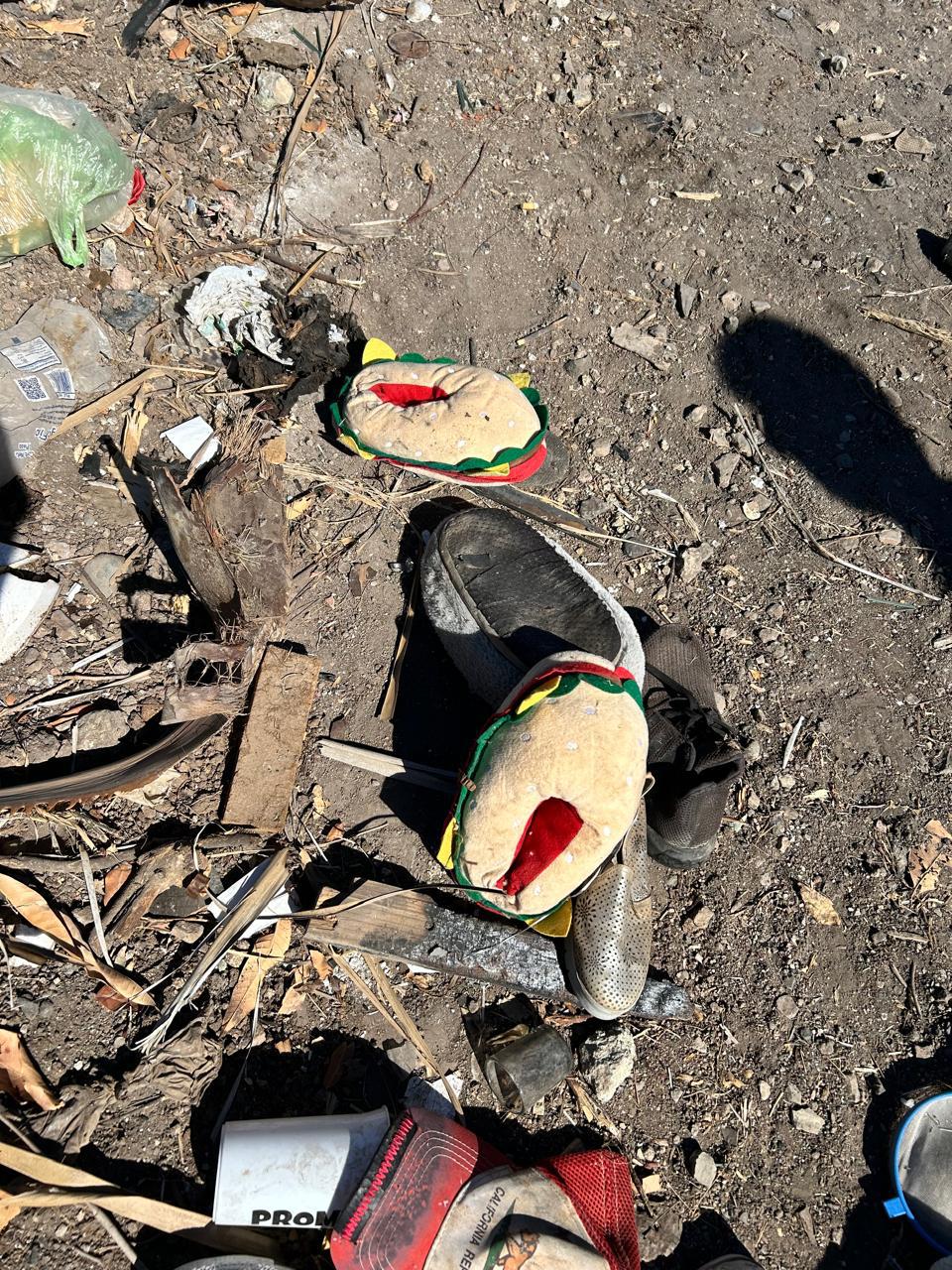 $!Denuncian foco de infección en El Barrio: basurero clandestino acumula hasta restos de animales