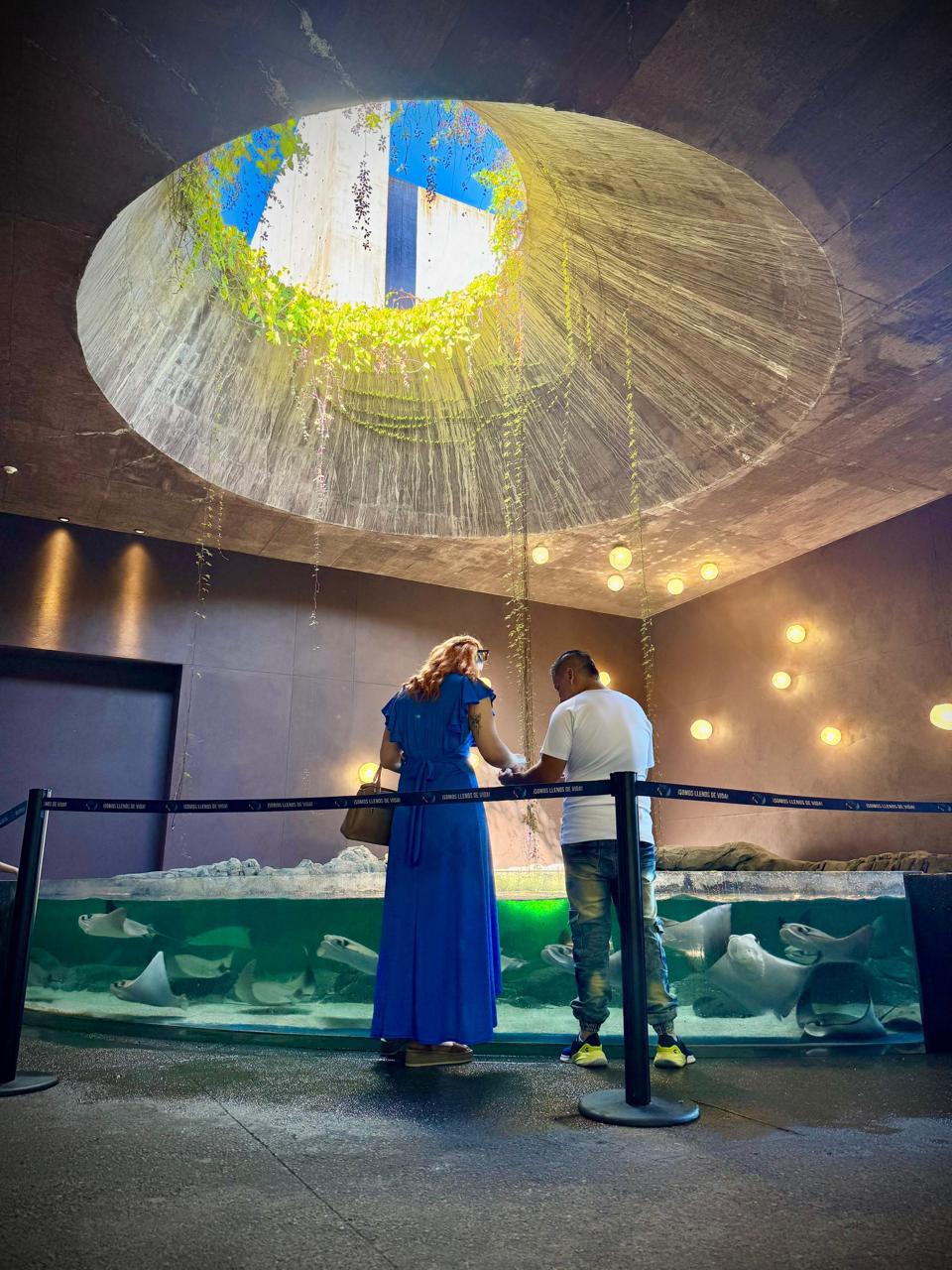 $!Destaca el Gran Acuario Mazatlán entre los atractivos principales del puerto