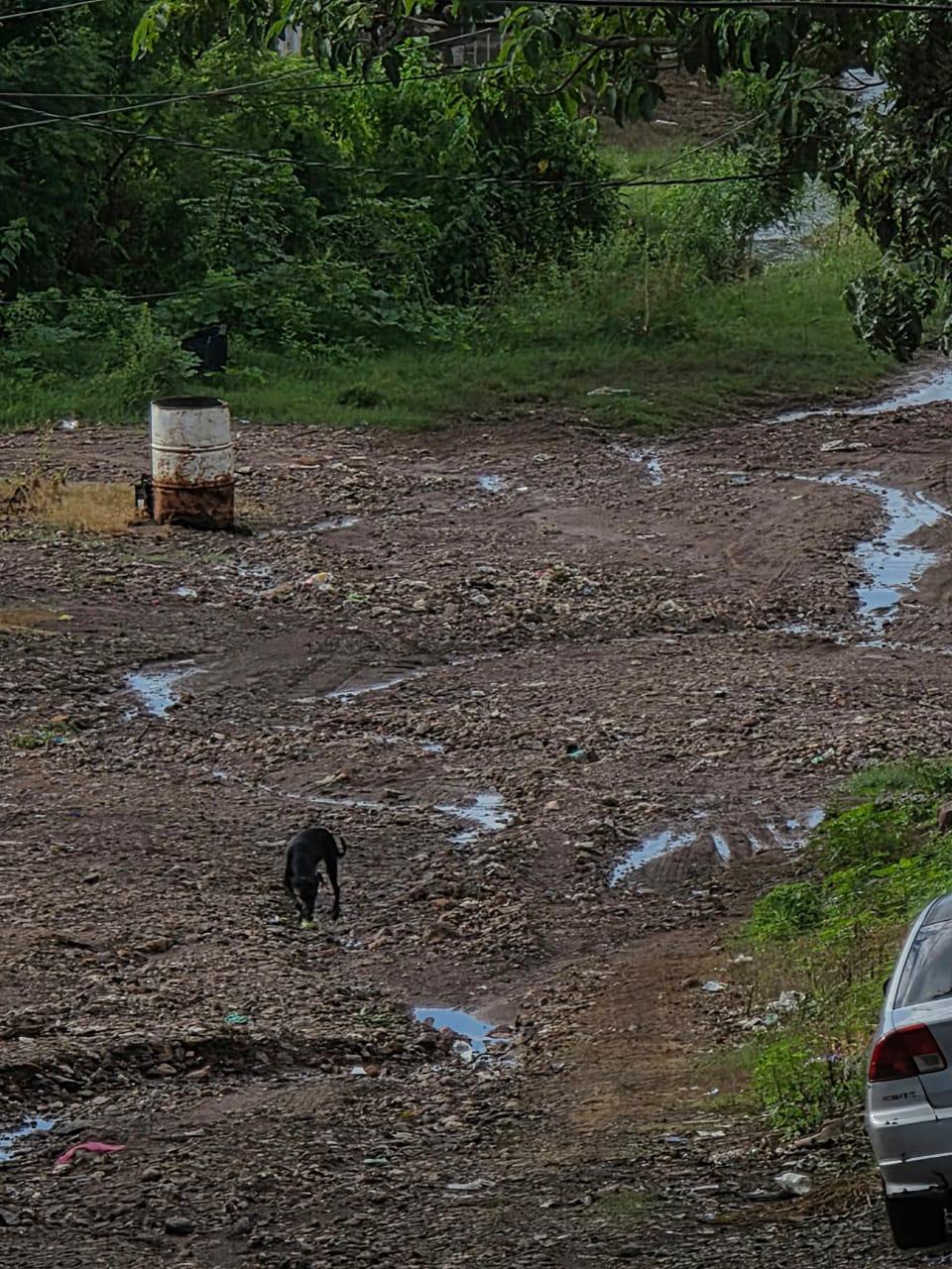 $!Vecinos de la calle Pino Suárez en Escuinapa exigen la reparación de la vialidad