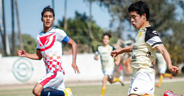 Dorados de Sinaloa busca seguir enrachado.