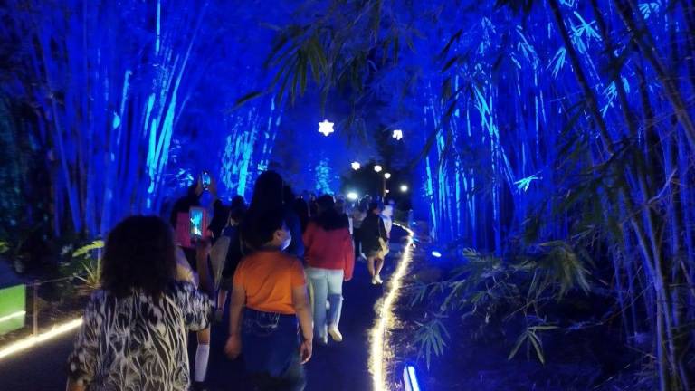 Por segundo año consecutivo en el Jardín Botánico se inauguró con su espectáculo de luces.