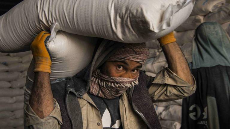 Los talibanes afirman que garantizarán la seguridad del personal humanitario