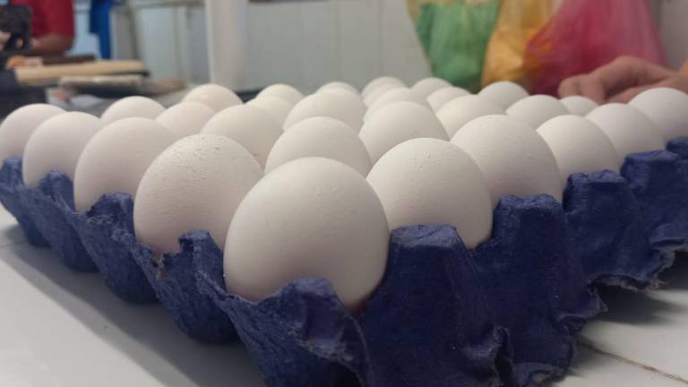 El huevo es uno de los productos que se ha visto más afectado por la inflación, aumentando considerablemente su precio.
