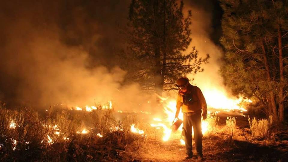 $!México registró 8000 incendios en 2024 que dañaron 1.6 millones de hectáreas de ecosistemas forestales.