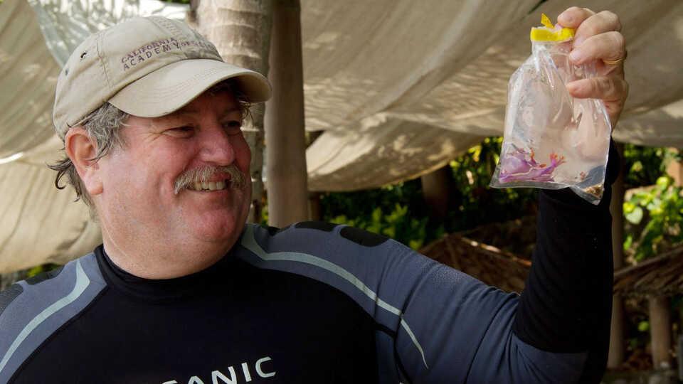 $!Galápagos: redescubren un coral solitario que se creía extinto y renueva la esperanza sobre la conservación marina