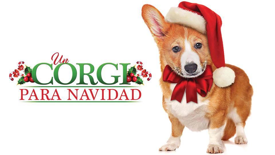 $!Cinco cintas del catálogo navideño para ver en familia